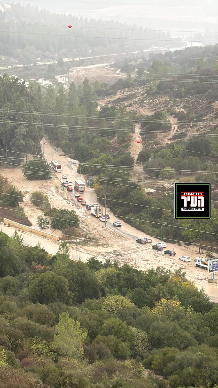 WhatsApp Image 2025-11-25 at 07.42.03.jpeg