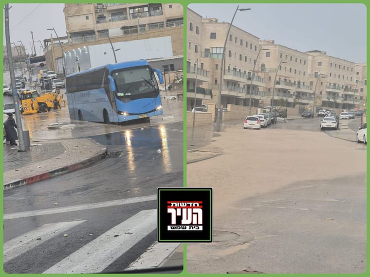 WhatsApp Image 2025-11-25 at 07.29.02.jpeg