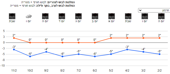 בועז דיין.png