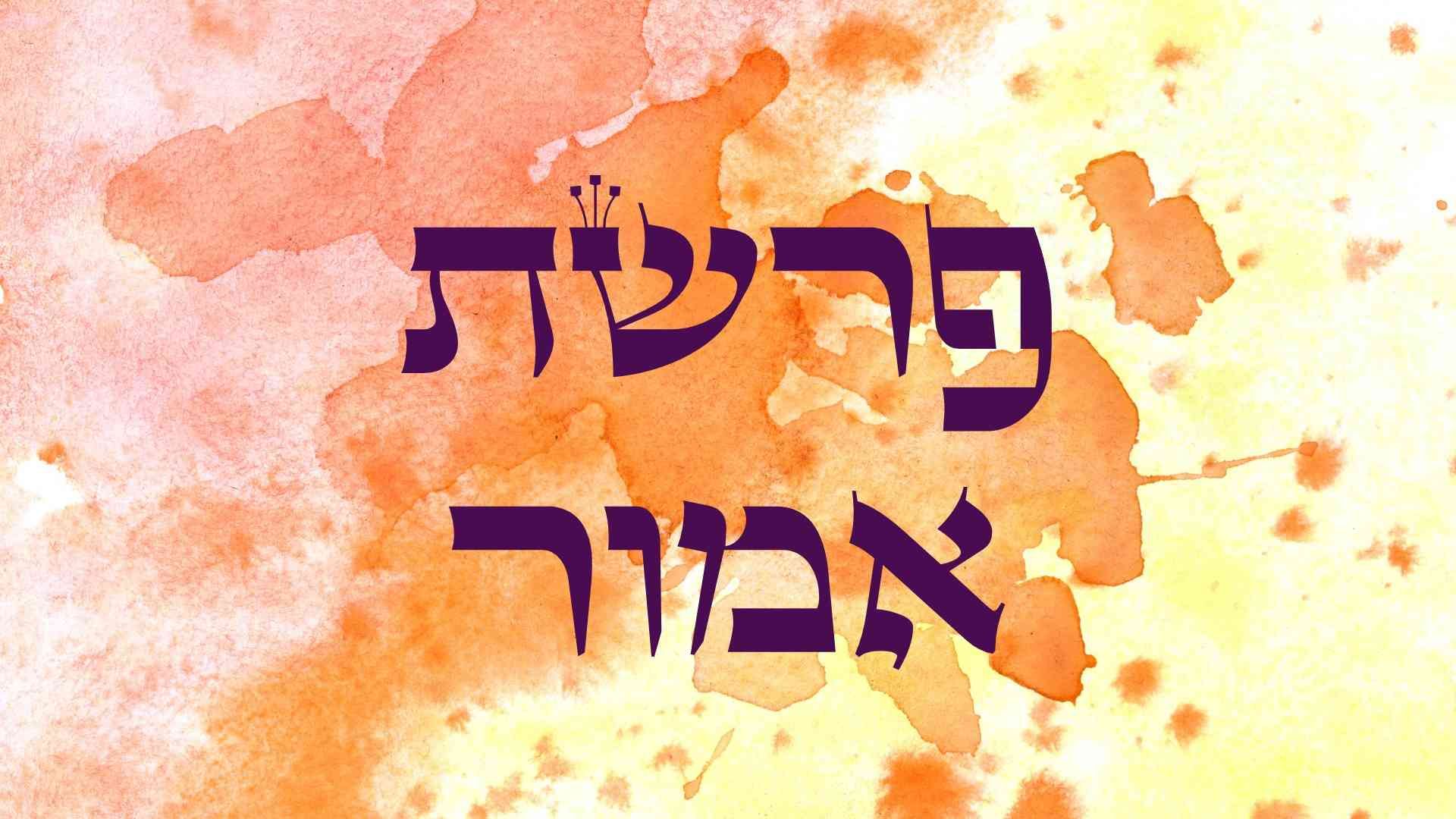 אמור.jpg