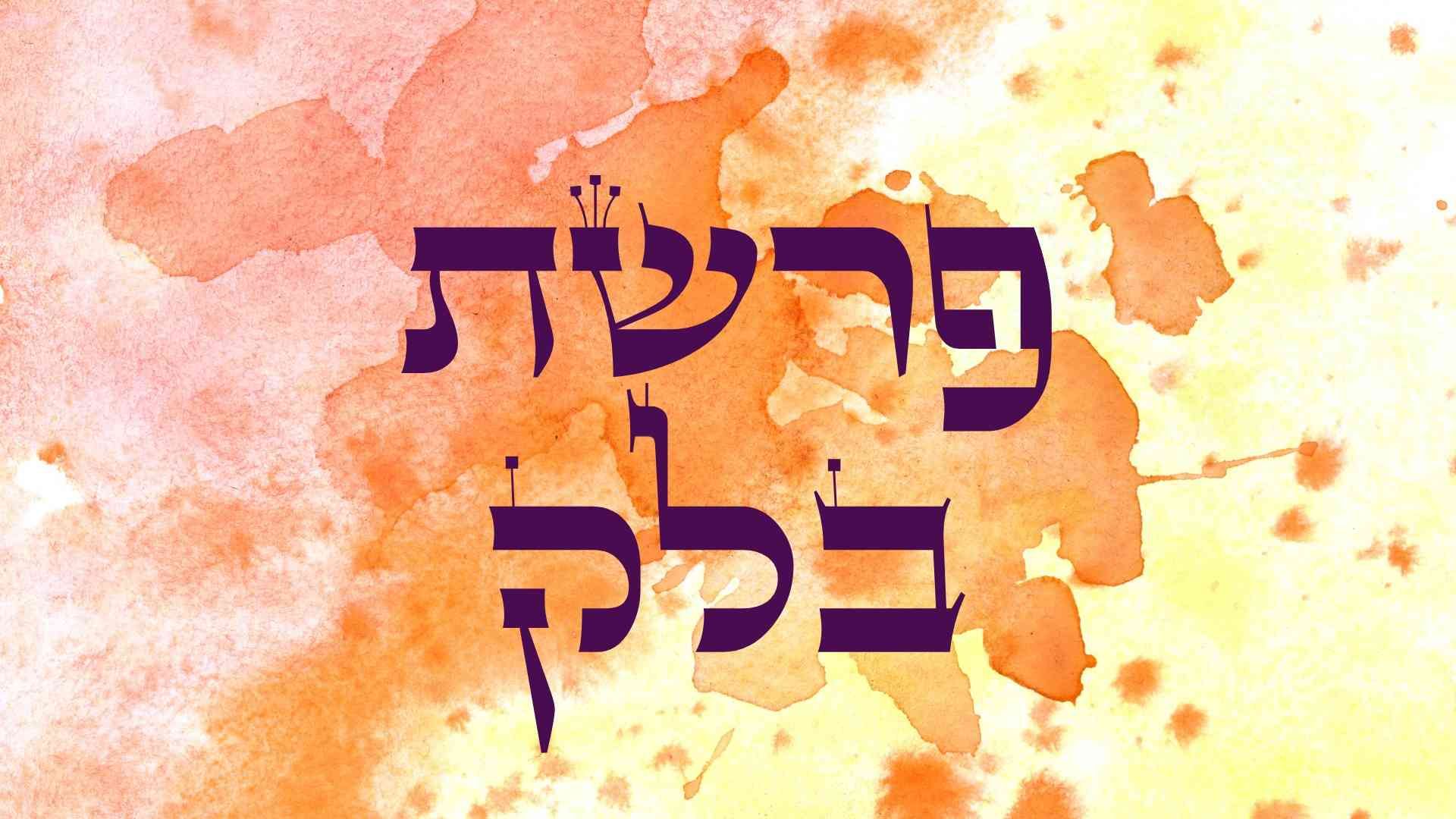 בלק-1.jpg