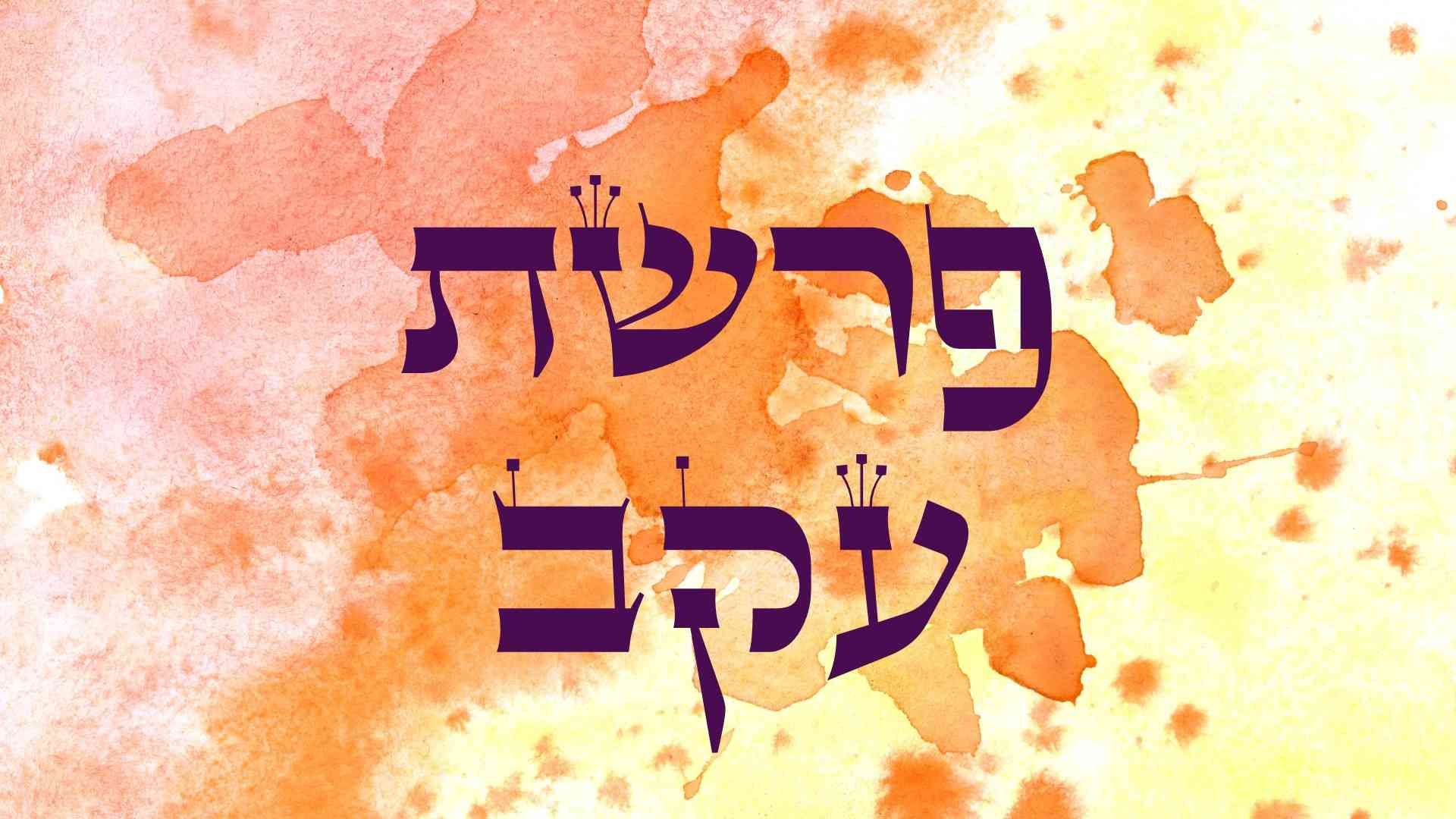 עקב.jpg