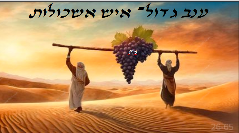 איש אשכולות.png