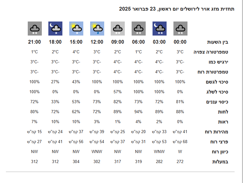 צילום מסך 2025-02-17 125503.png