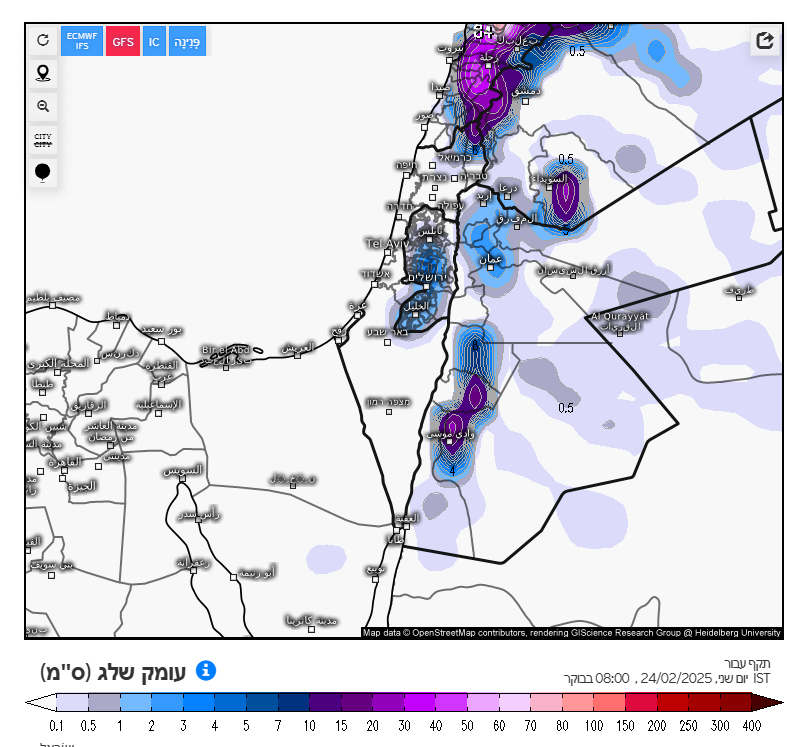 צילום מסך 2025-02-17 184749.png