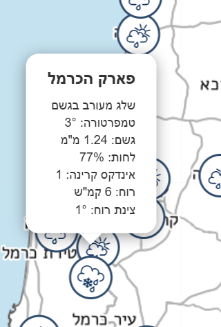 צילום מסך 2025-02-18 202638.png