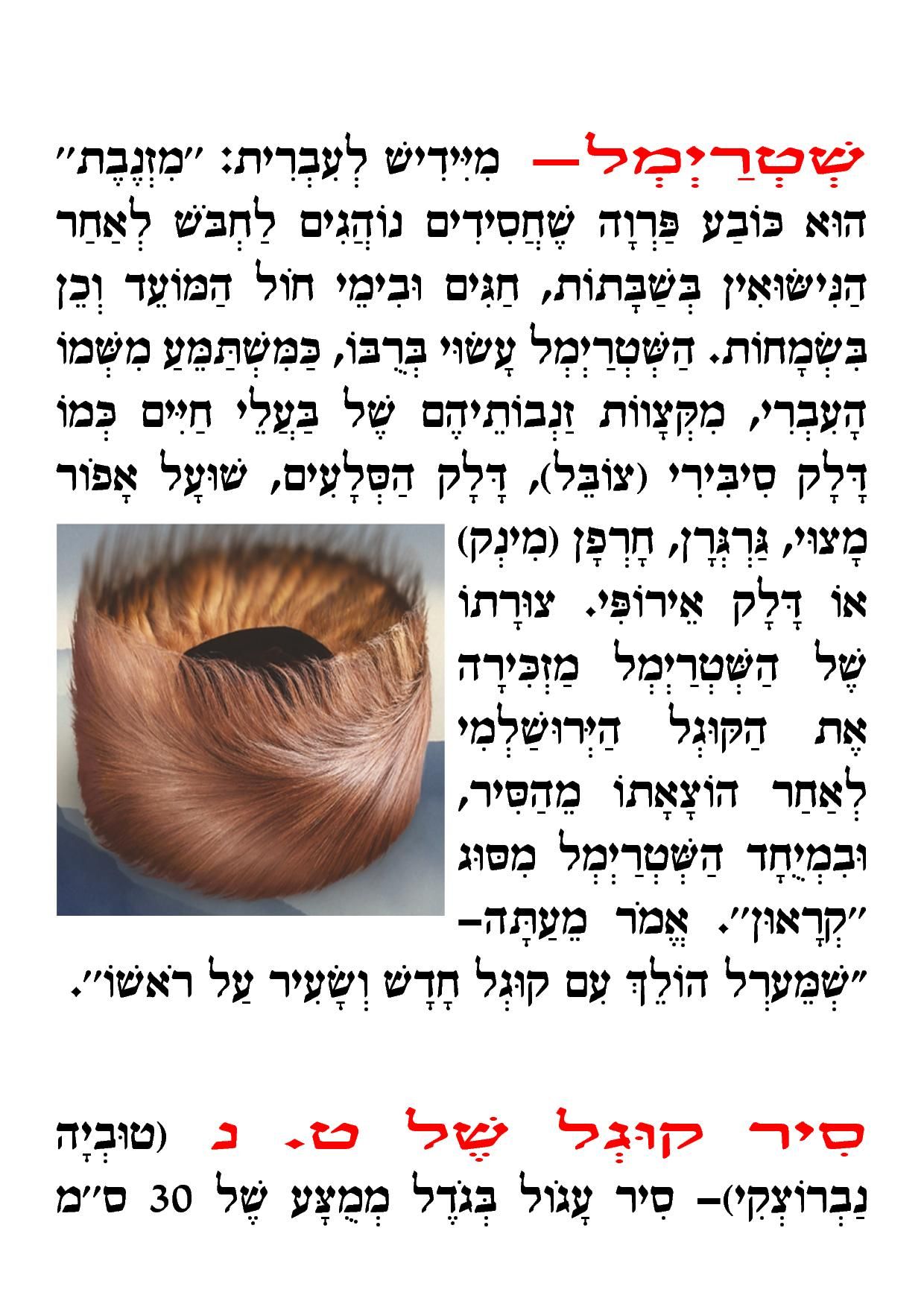 מילון מושגים2.jpg