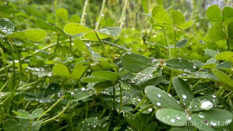 img_20250210_142006_hdr_optimized.jpg