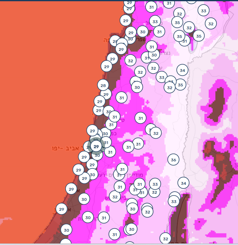 צילום מסך 2025-08-05 094820.png