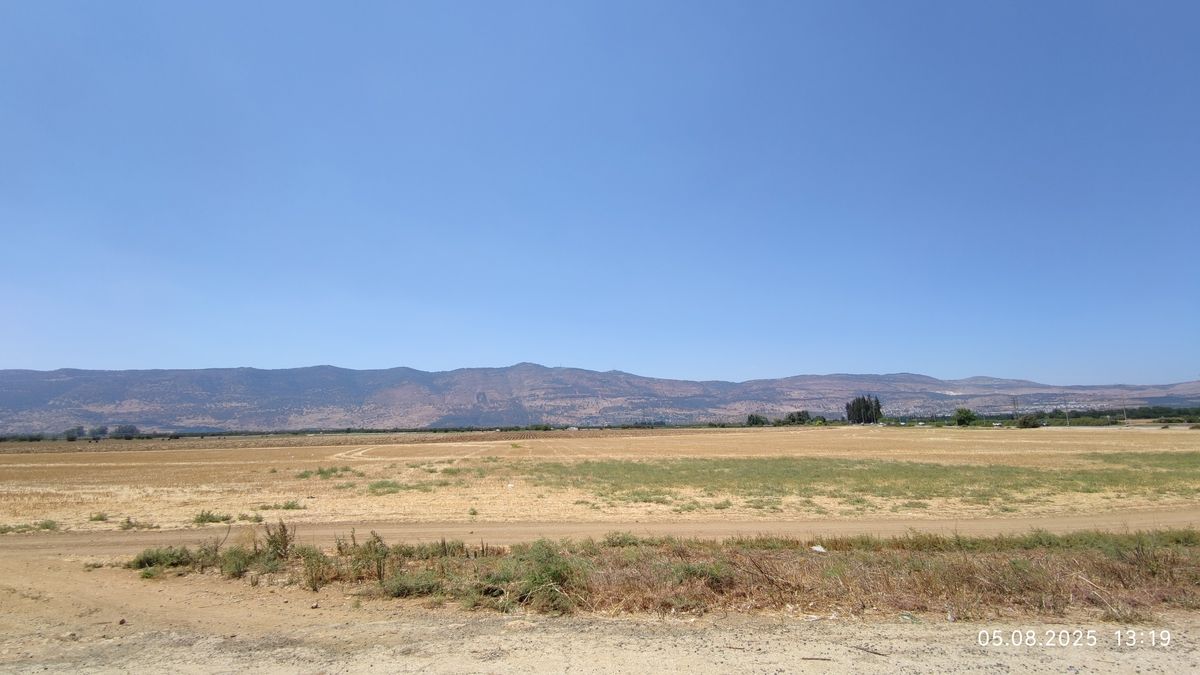 IMG_20250805_131953_1200x675.jpg