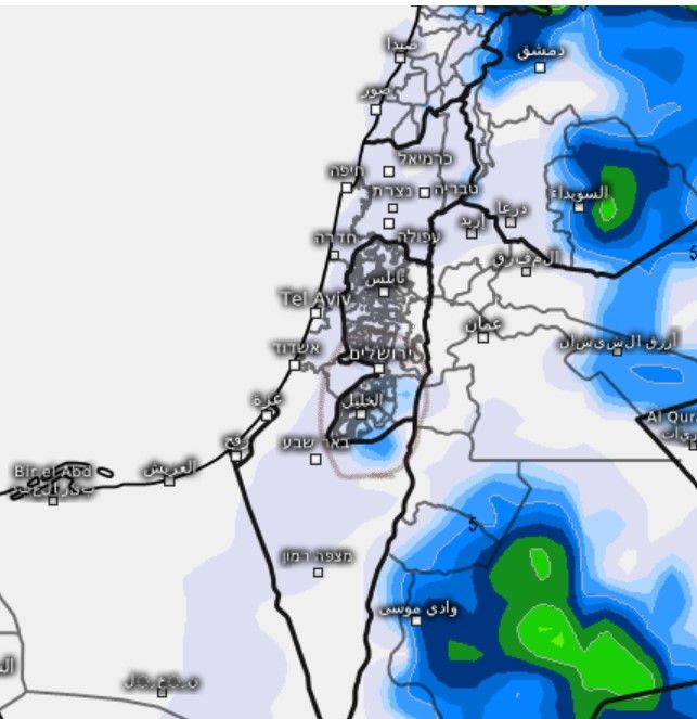 צילום מסך 2025-08-08 114015.jpeg