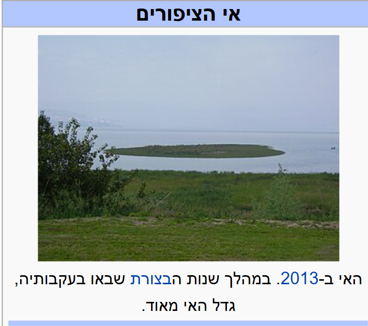 9c4e159f-bfc2-4826-b423-2ff5cd250e43-image.png