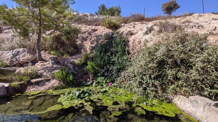 מעיין-בית-אל-8_3000x1687_optimized.jpg