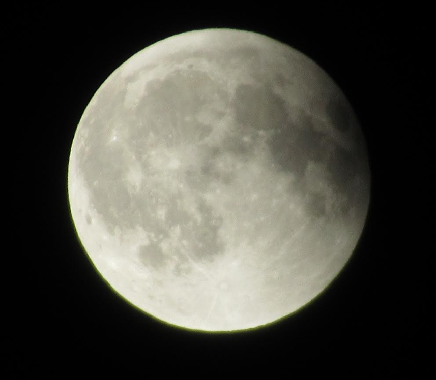 267488d1-70d5-47fb-9cfe-eaf29e7f383f-image.png