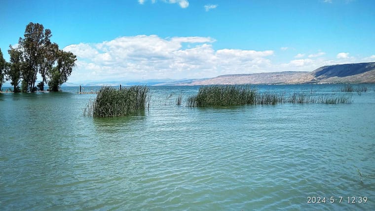 img_20240507_123924_hdr_4026x2264-(1)_optimized.jpg
