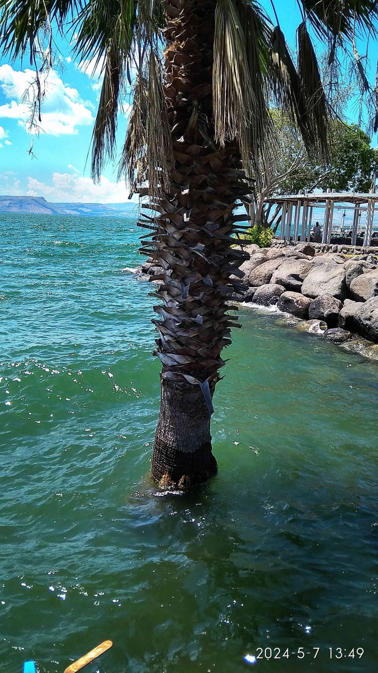img_20240507_134859_hdr_2264x4024_optimized.jpg