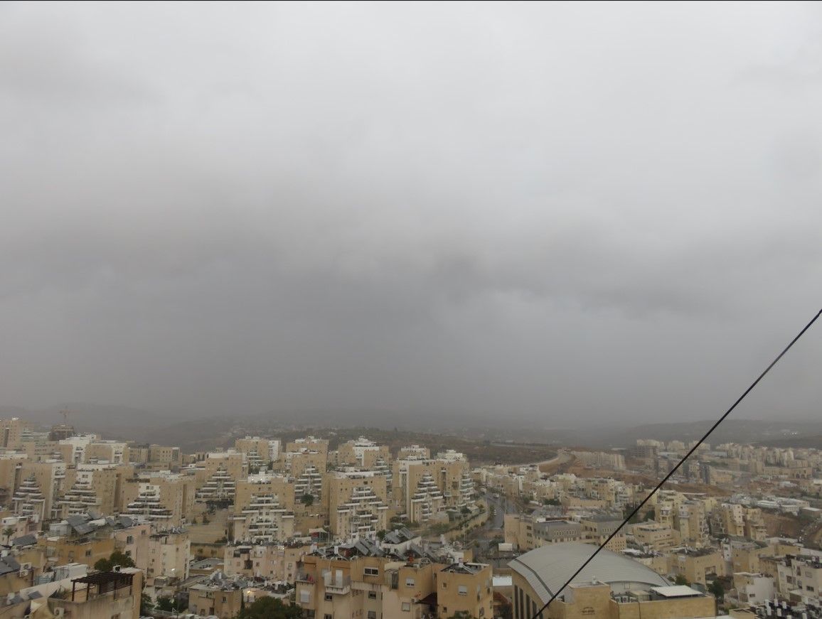 צילום מסך 2025-11-16 145222.jpg