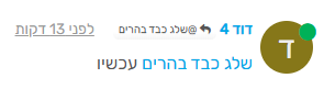 שלג כבד בהרים.png