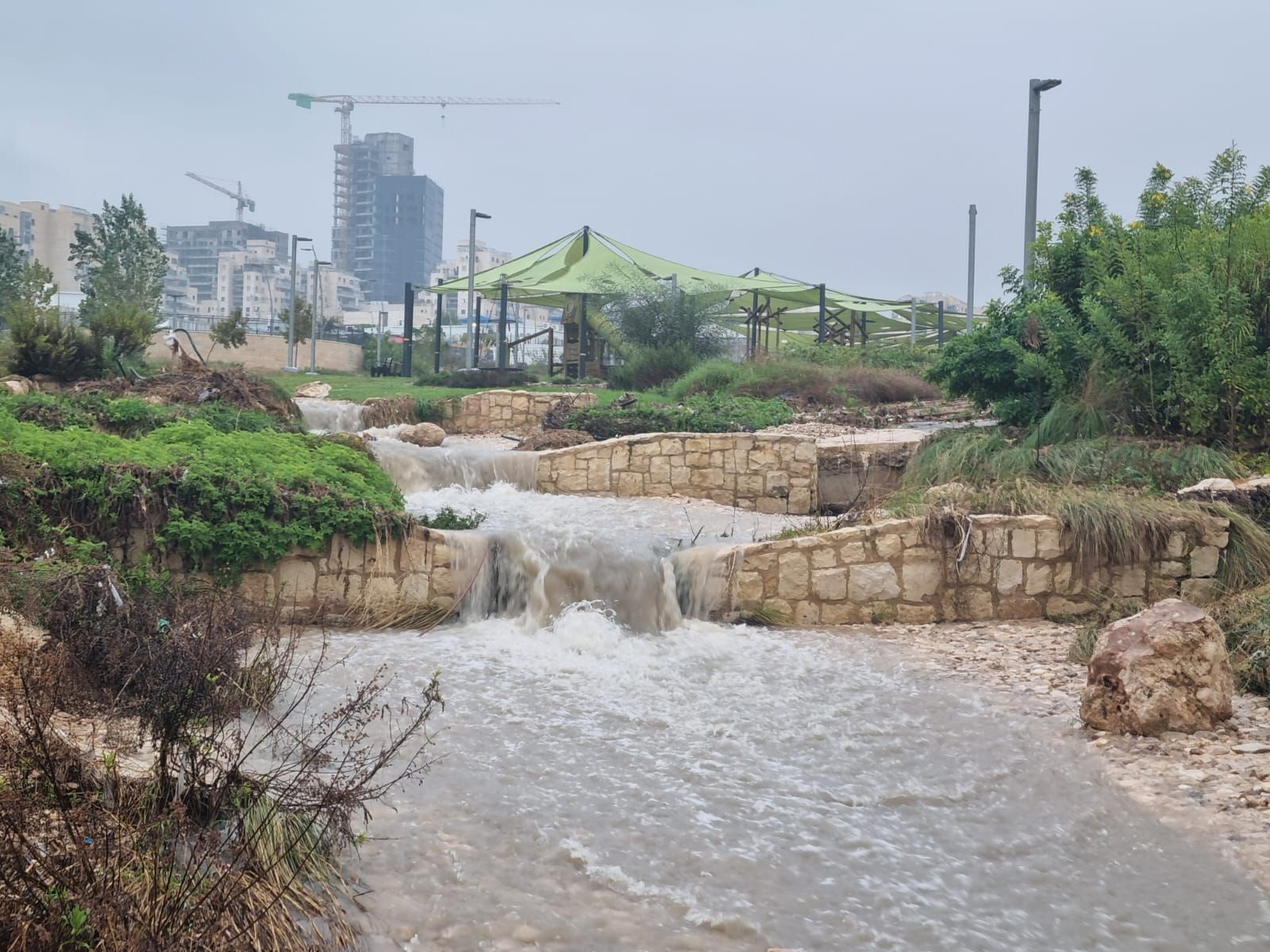 WhatsApp Image 2025-12-11 at 12.59.20.jpeg