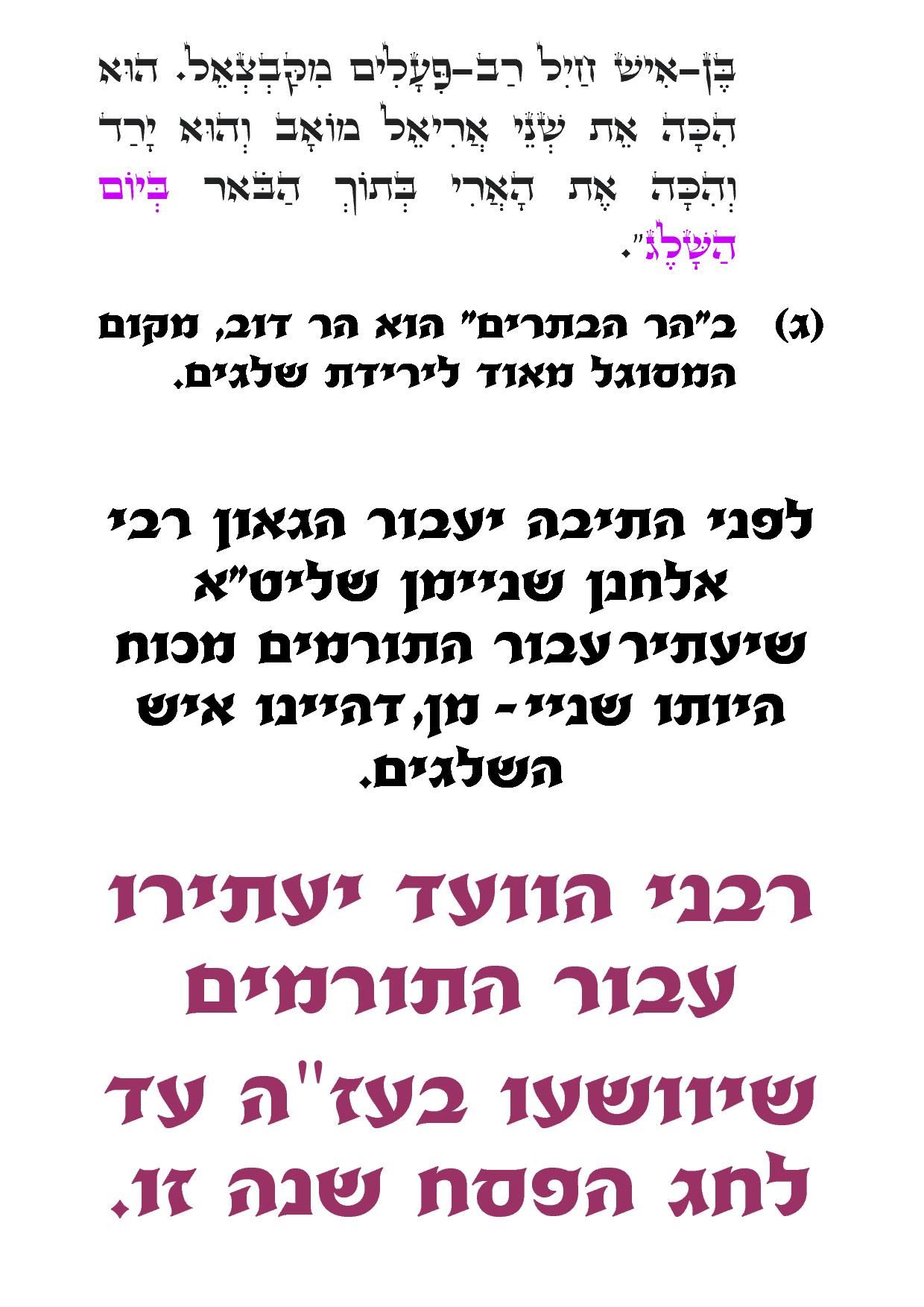 ועד הרבנים3.jpg