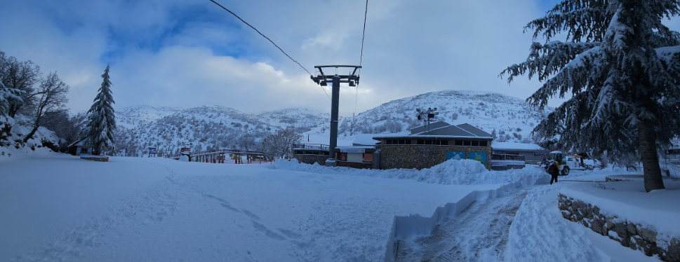 צילום מסך 2026-01-14 224941.png