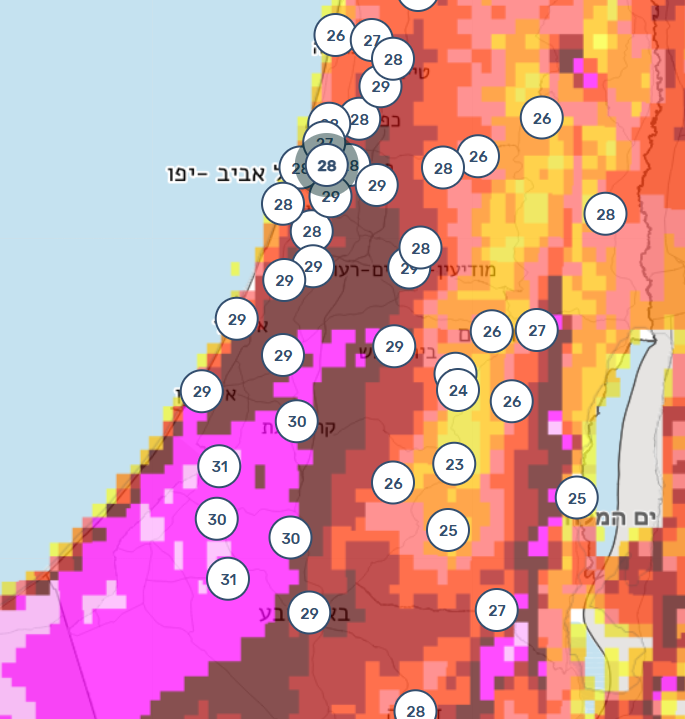 צילום מסך 2026-02-06 002419.png