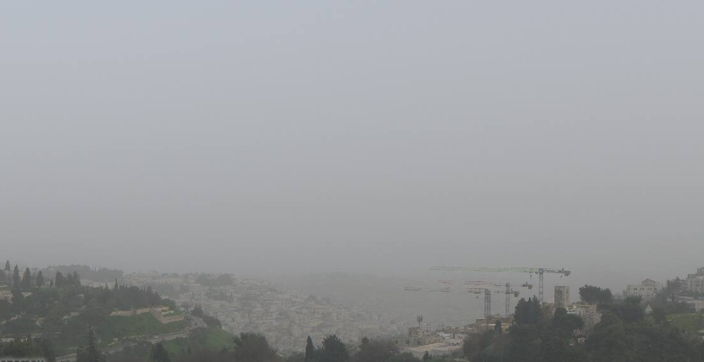 צילום מסך 2026-02-13 154843.png