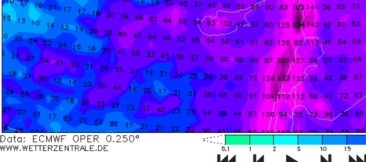 צילום מסך 2026-03-12 144004.png