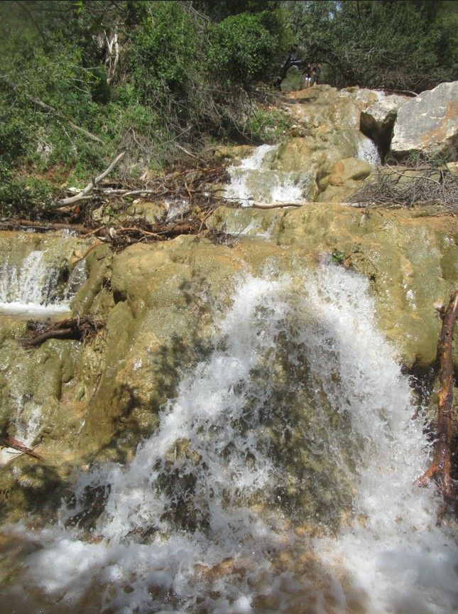 d72896e8-62b2-497e-aa26-b1b265a85ed0-צילום מסך 2026-03-29 140857.jpg