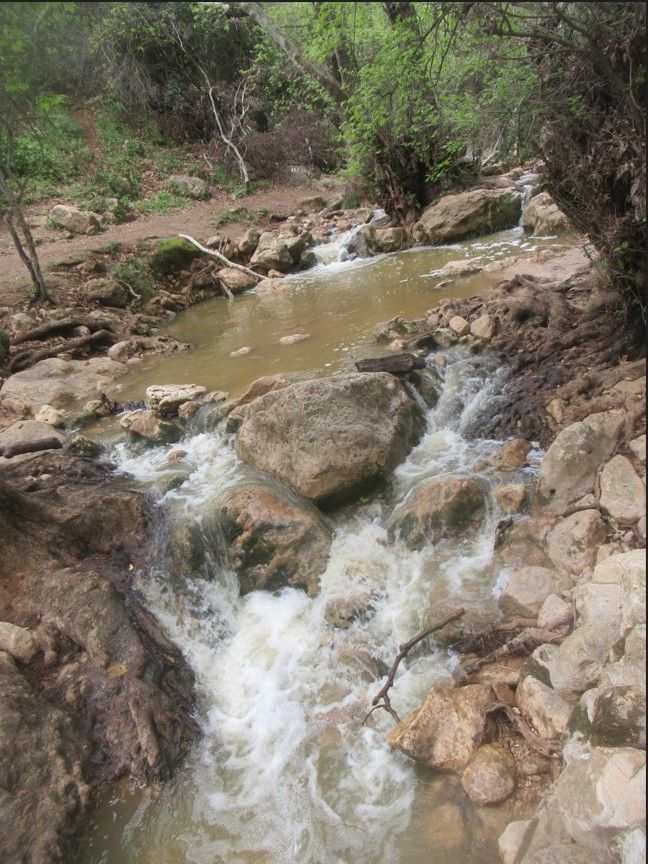 4e7267b8-a95a-4296-be72-81f8d0f59d7e-צילום מסך 2026-03-29 141239.jpg