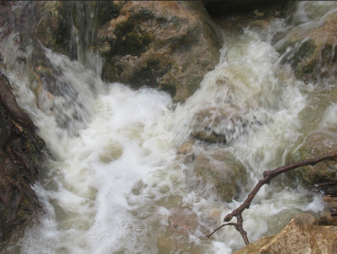 469eaa67-7ced-410b-bb54-5abf071ba9a3-צילום מסך 2026-03-29 141032.jpg