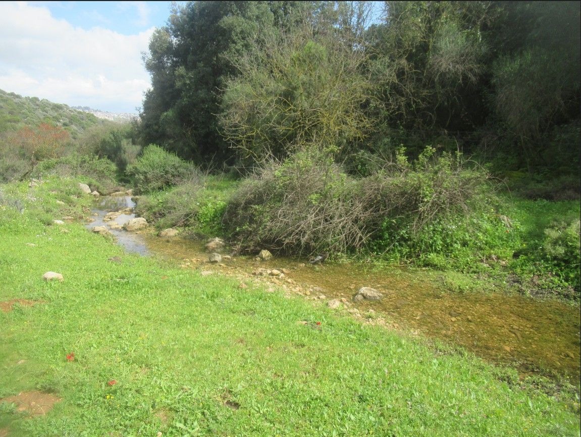 fce780cb-f0df-471f-bc25-6a7ac8e5498f-צילום מסך 2026-03-29 141131.jpg