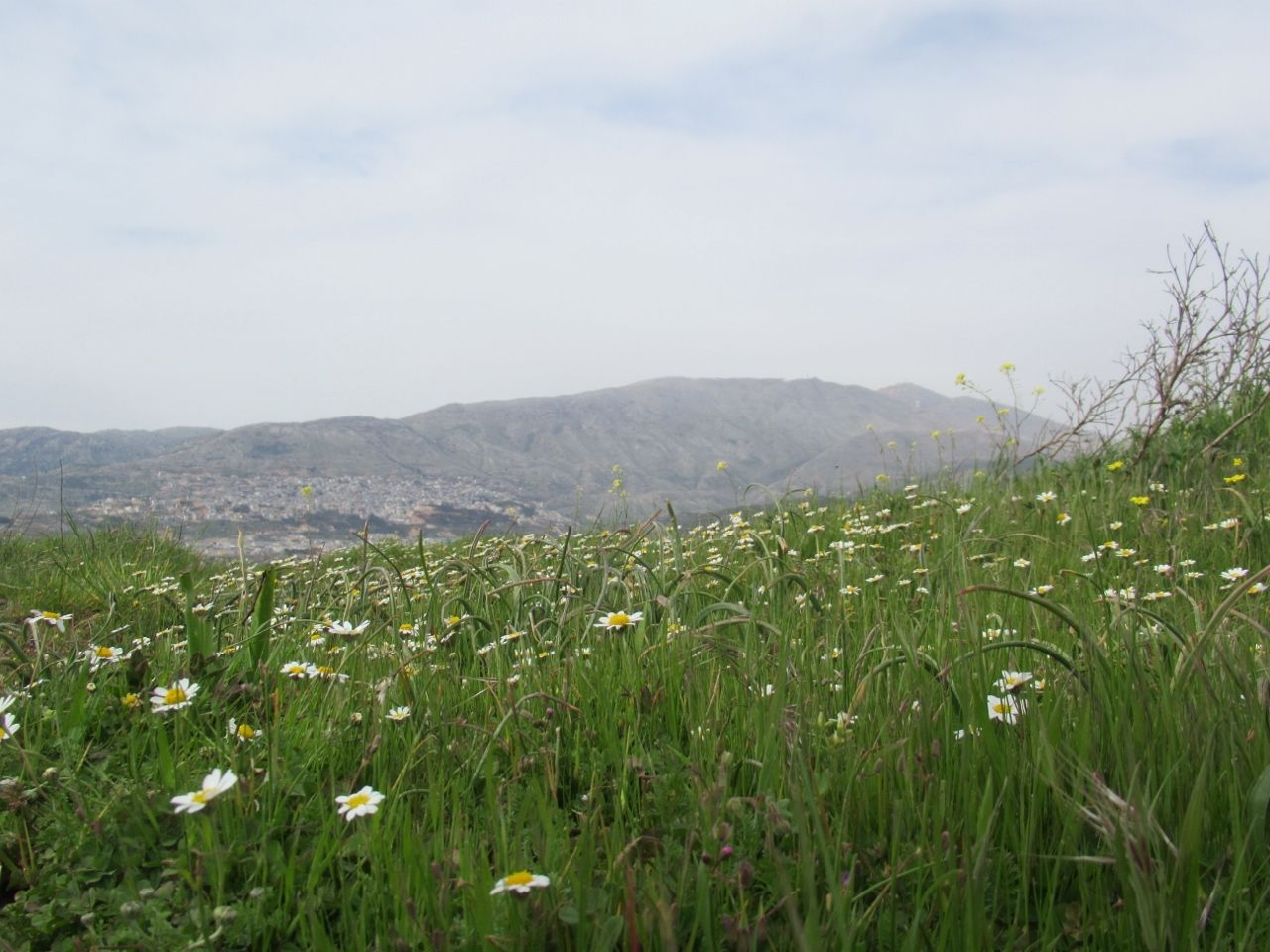 IMG_2270 (1280x960).jpg