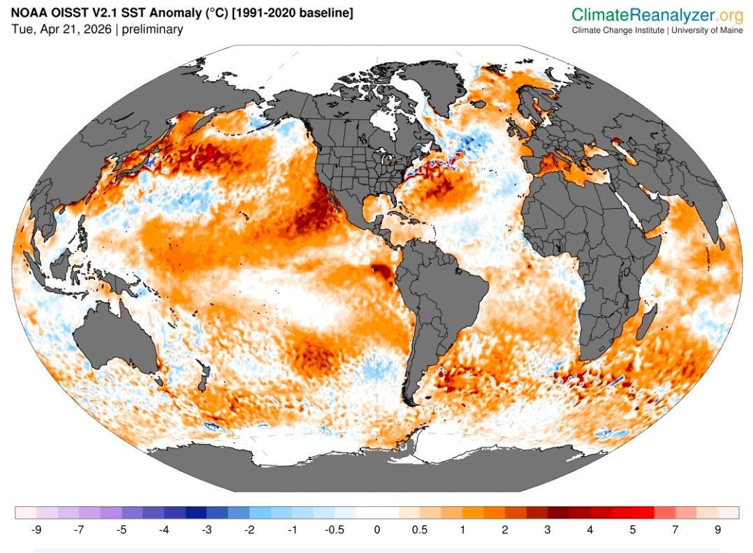 Screenshot_20260423_111400_Chrome Beta.jpg