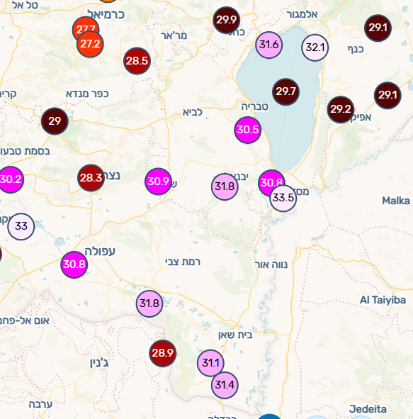 צילום מסך 2026-07-29 144540.png