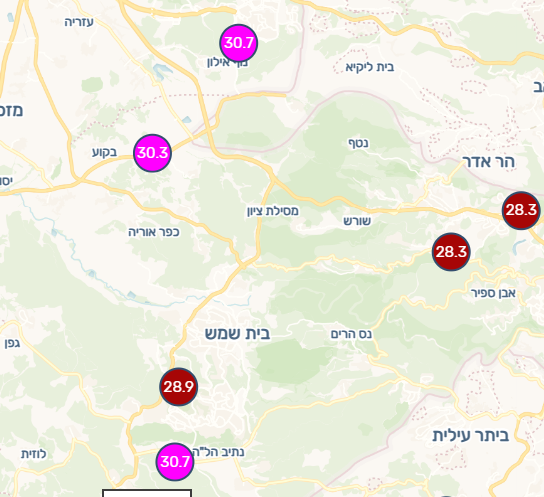 צילום מסך 2026-07-29 144637.png