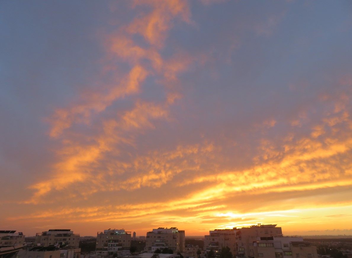 צילום מסך 2026-10-05 225920.jpg