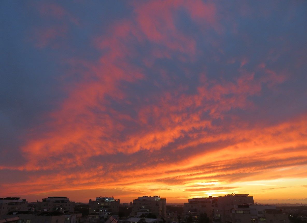 צילום מסך 2026-10-05 230535.jpg