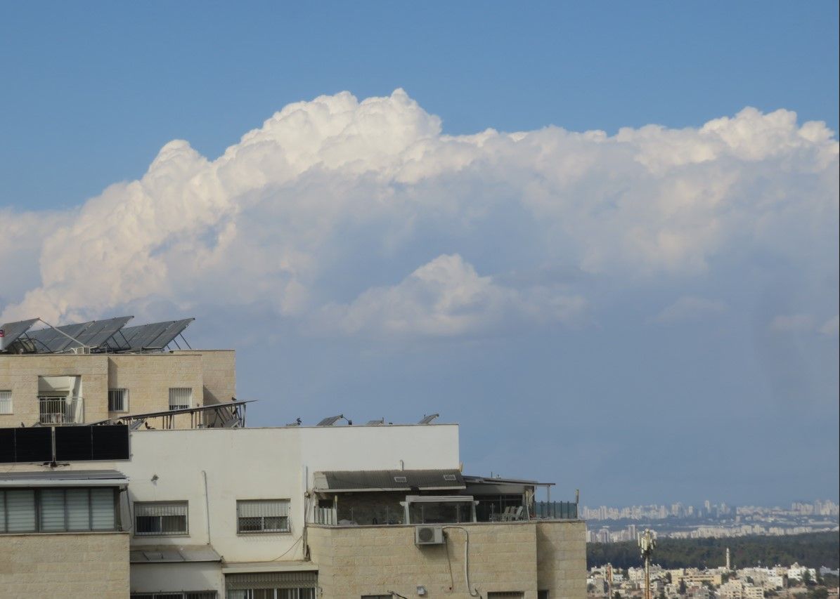 צילום מסך 2026-10-06 103018.jpg