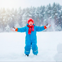 ג׳מיני המלך